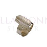 Silver & 4x16 Biwa Adj. Ring