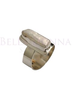 Silver & 4x16 Biwa Adj. Ring