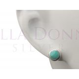 Silver & 5mm Turquoise Studs